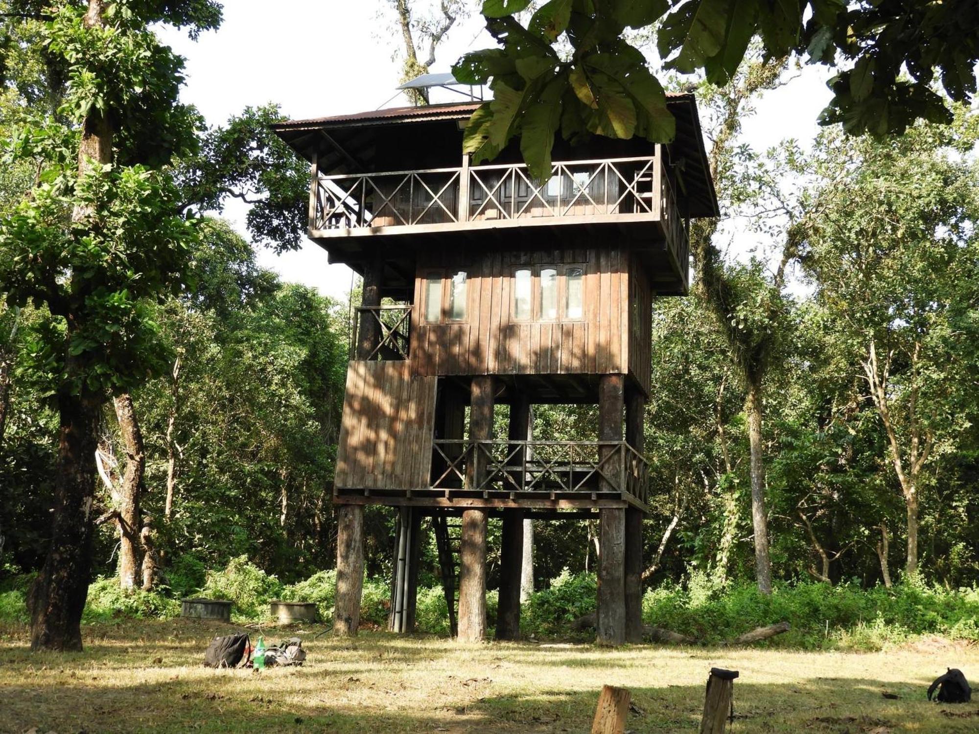 Typical Nepali Kitchen - No Pizza - No Pasta - No Problem !! Hotel Sauraha Exterior photo